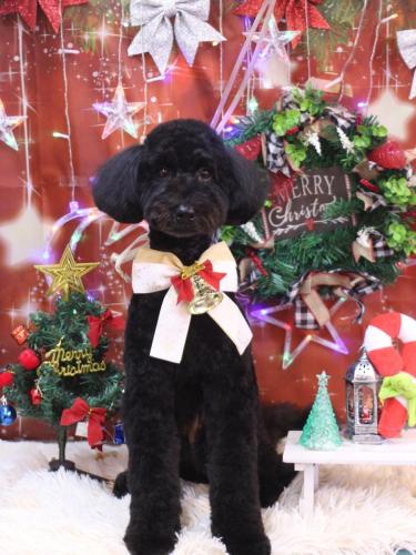 20231222アロちゃん